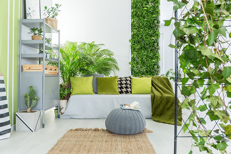 Dutch Plant Farm Interiorscape - various plants decorating office space