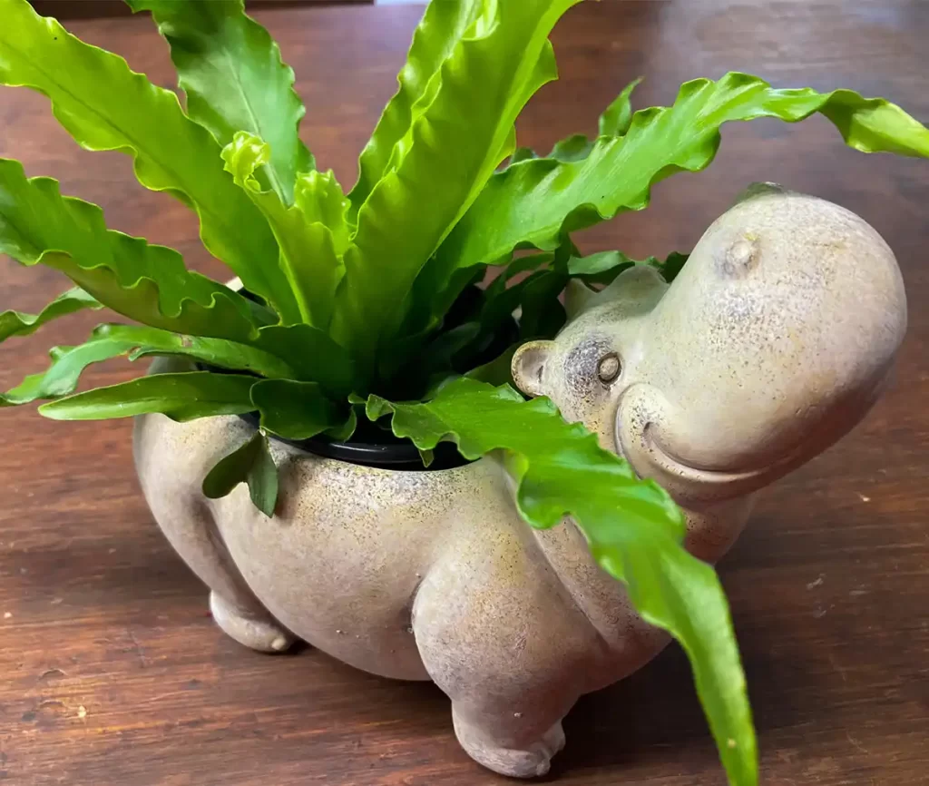 Planter shaped like a Hippo at Dutch Plant Farms