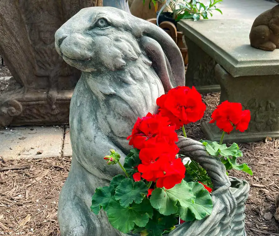 Image of rabbit planter holding red geraniums at Dutch Plant Farm