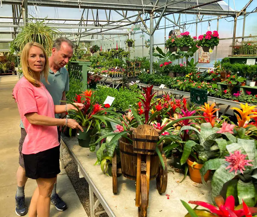 Image of people shopping in the greenhouse at Dutch Plant Farm