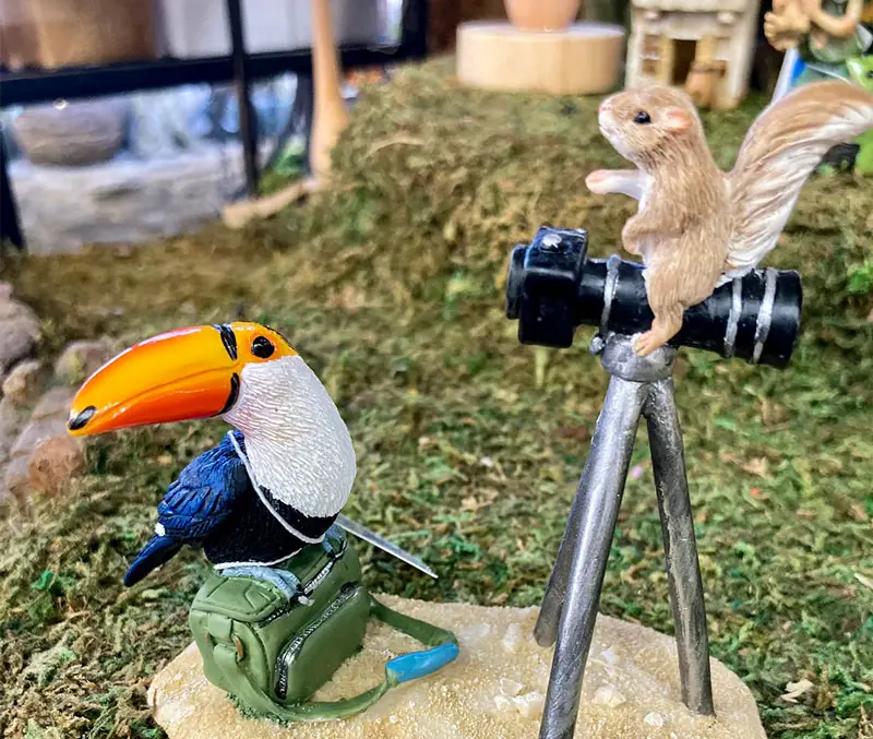 Fairy garden Toucan and Squirrel with a camera are some of the fun kids gardening supplies at The Dutch Plant Farm.