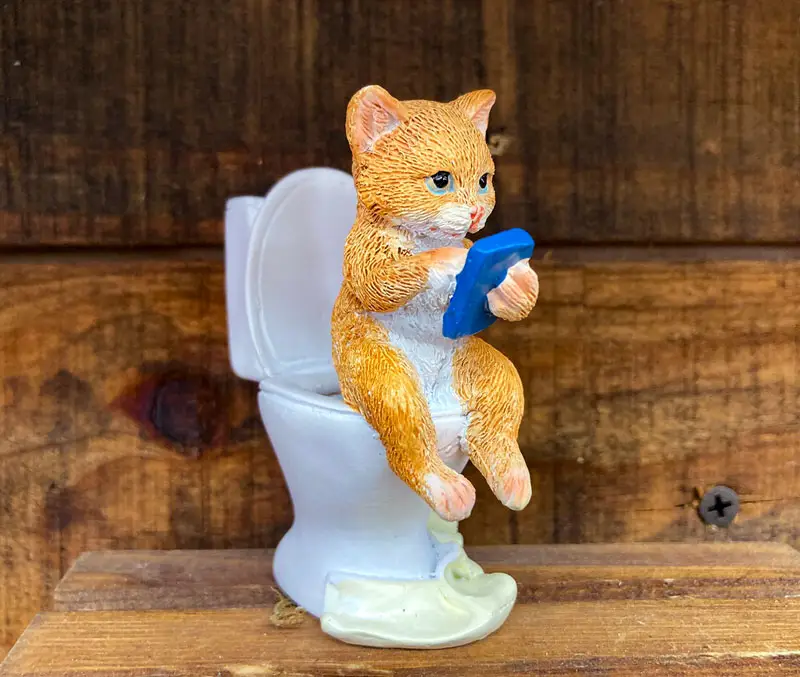 Fairy garden cat sitting on a toilet reading a book is one of the fun kids gardening supplies at The Dutch Plant Farm.