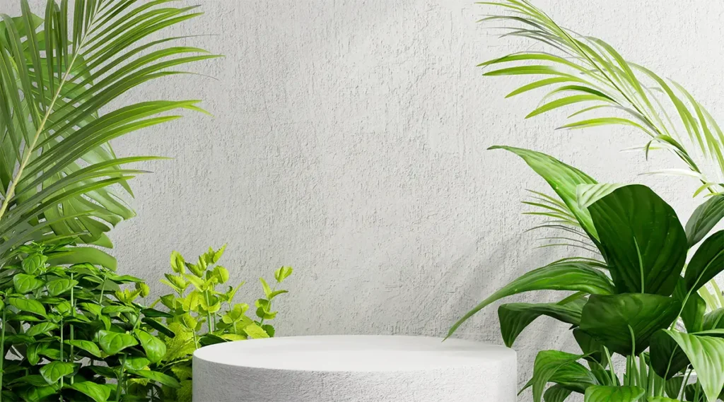 Plant Rental image of tall plants and fern baskets.